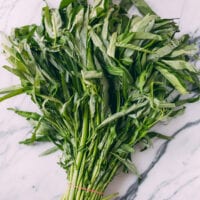Bunch of green stem water spinch