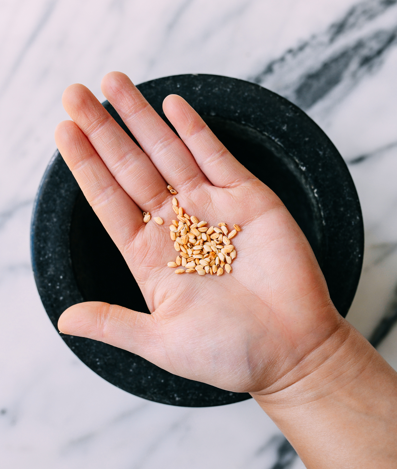 Toasted rice grains