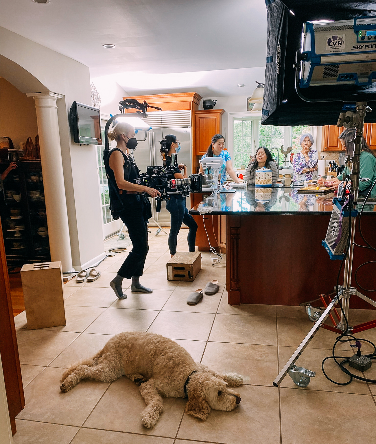 Barley during filming of family meal