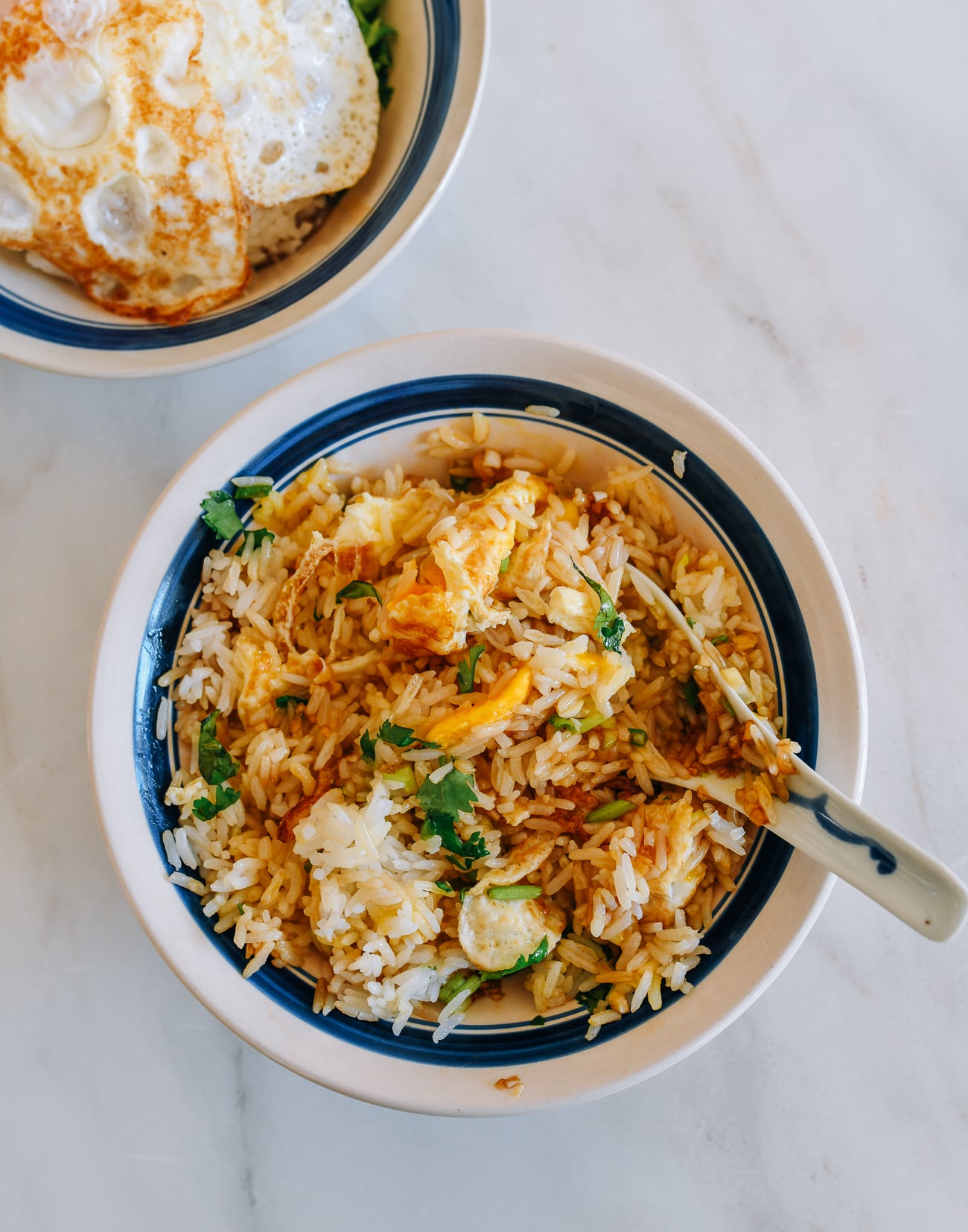 Chinese Mixed Rice Ban Fan