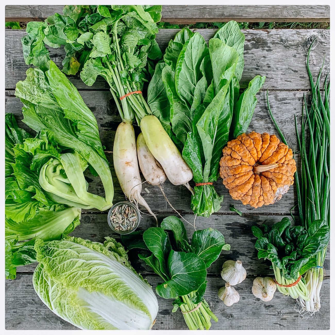 Choy Division late fall CSA Share 
