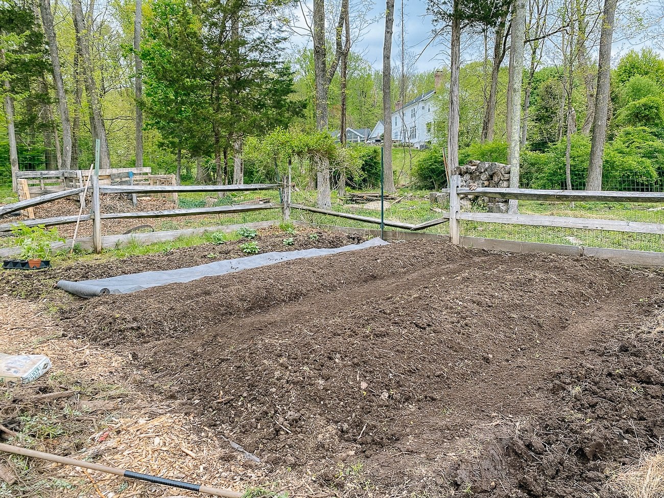 Cleared beds in vegetable garden