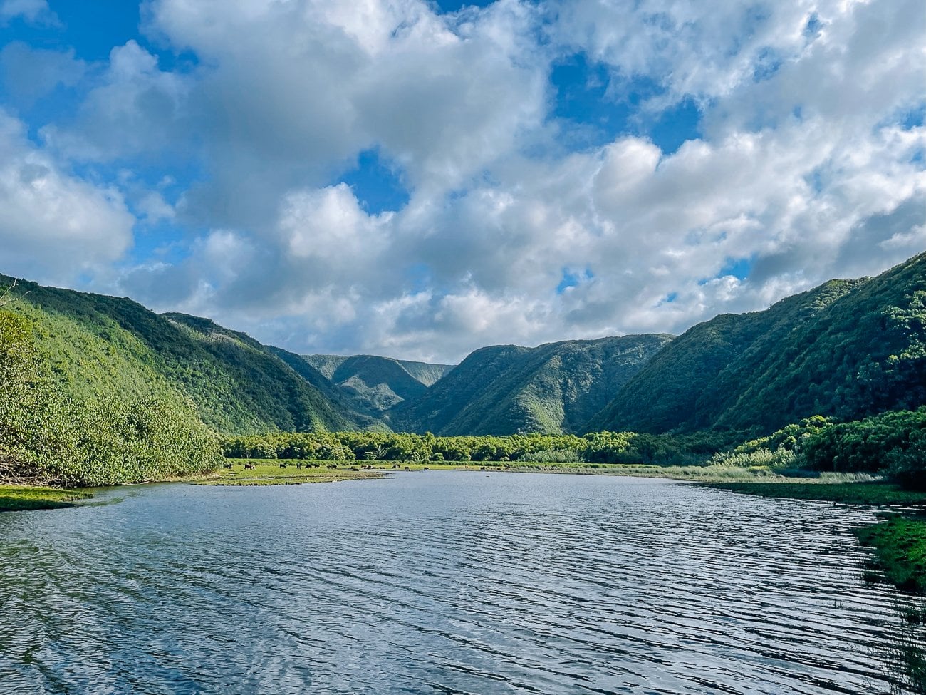 Pololu Valley