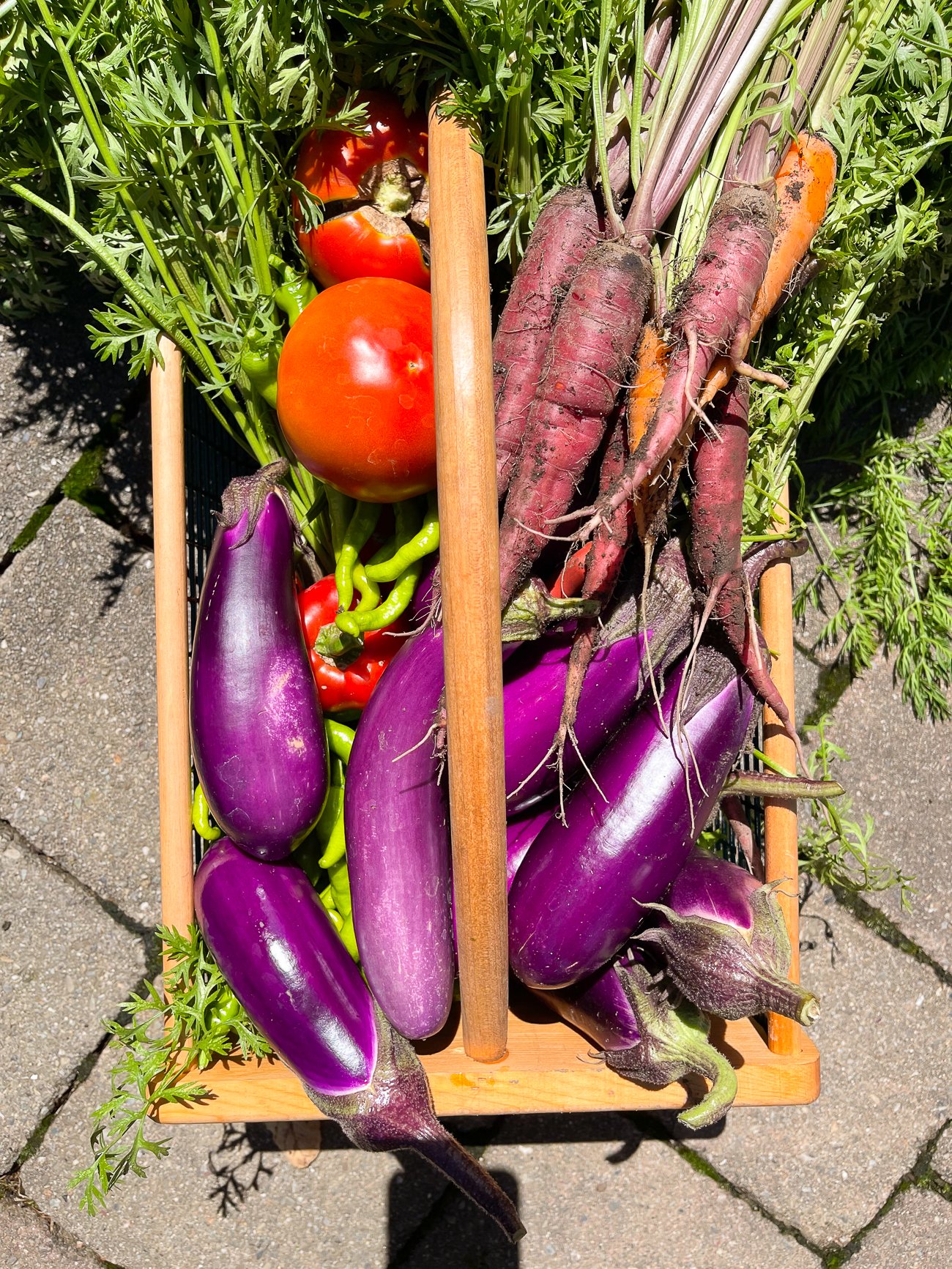 basket of garden produce