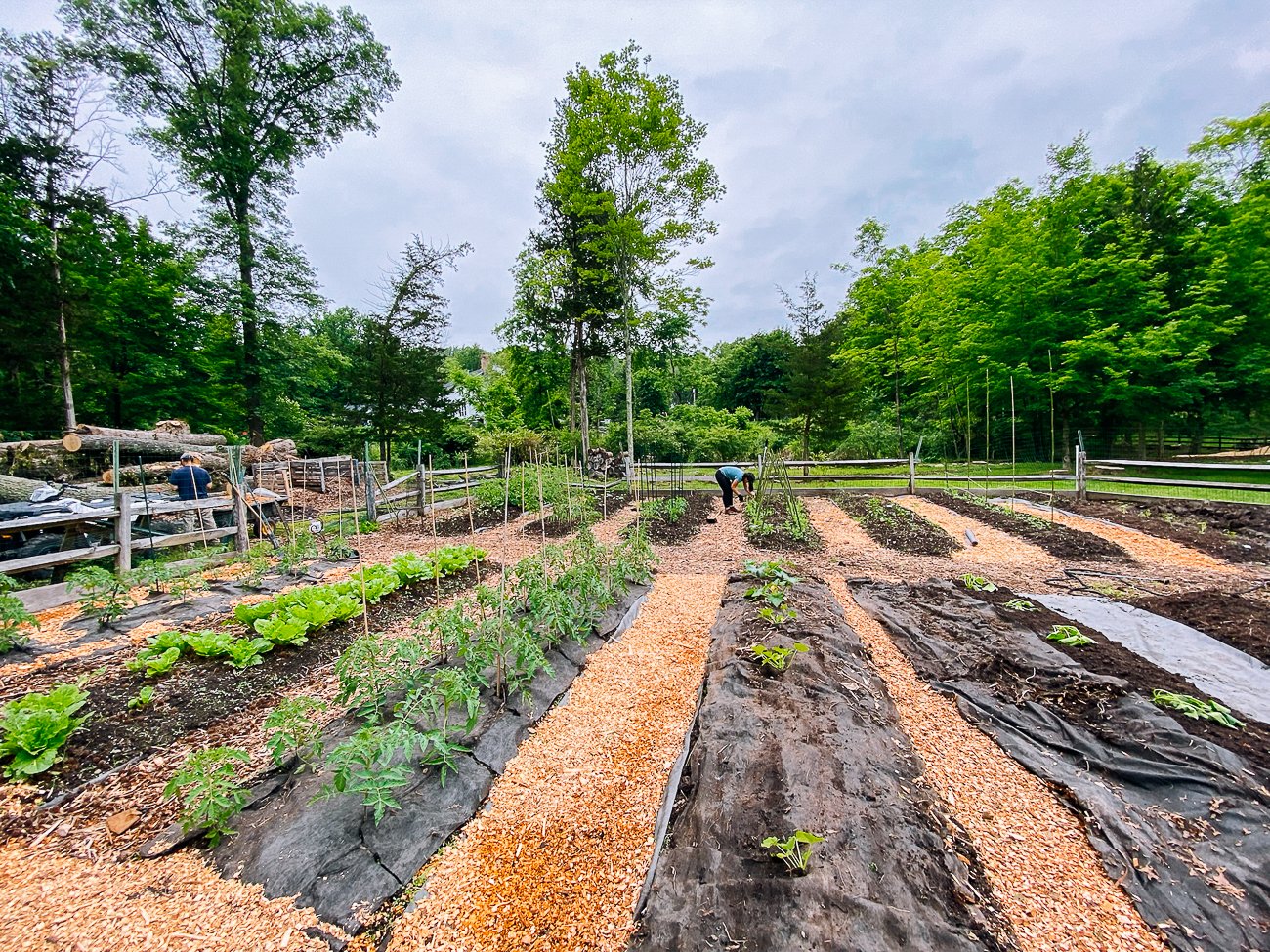 garden beds