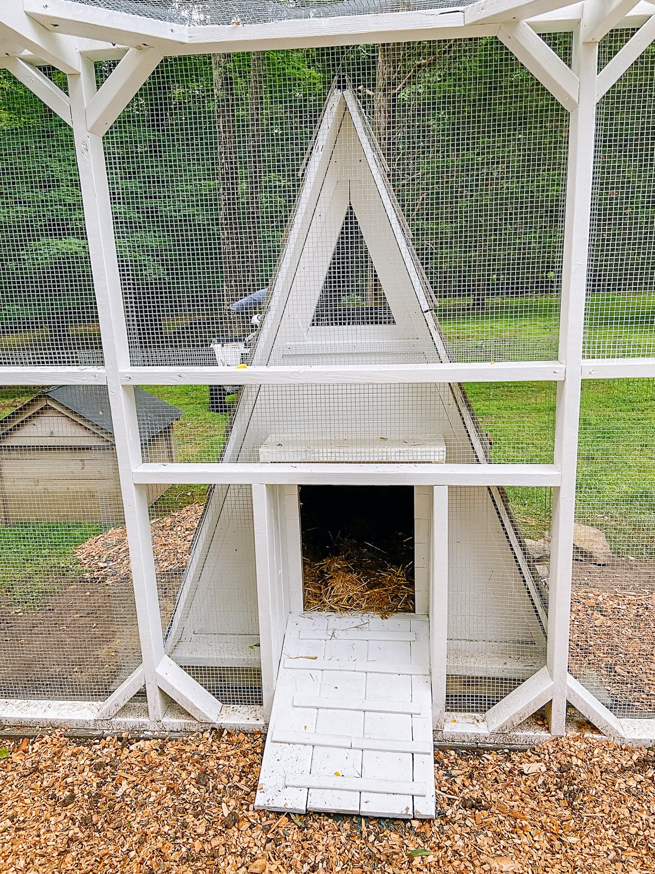 duck house finished