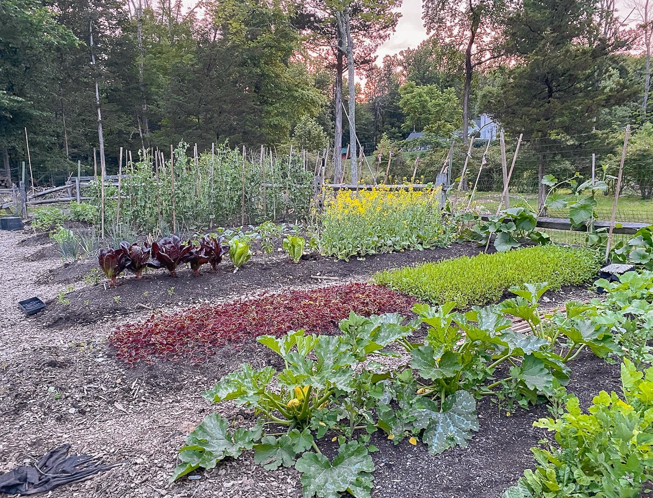 the woks of life vegetable garden