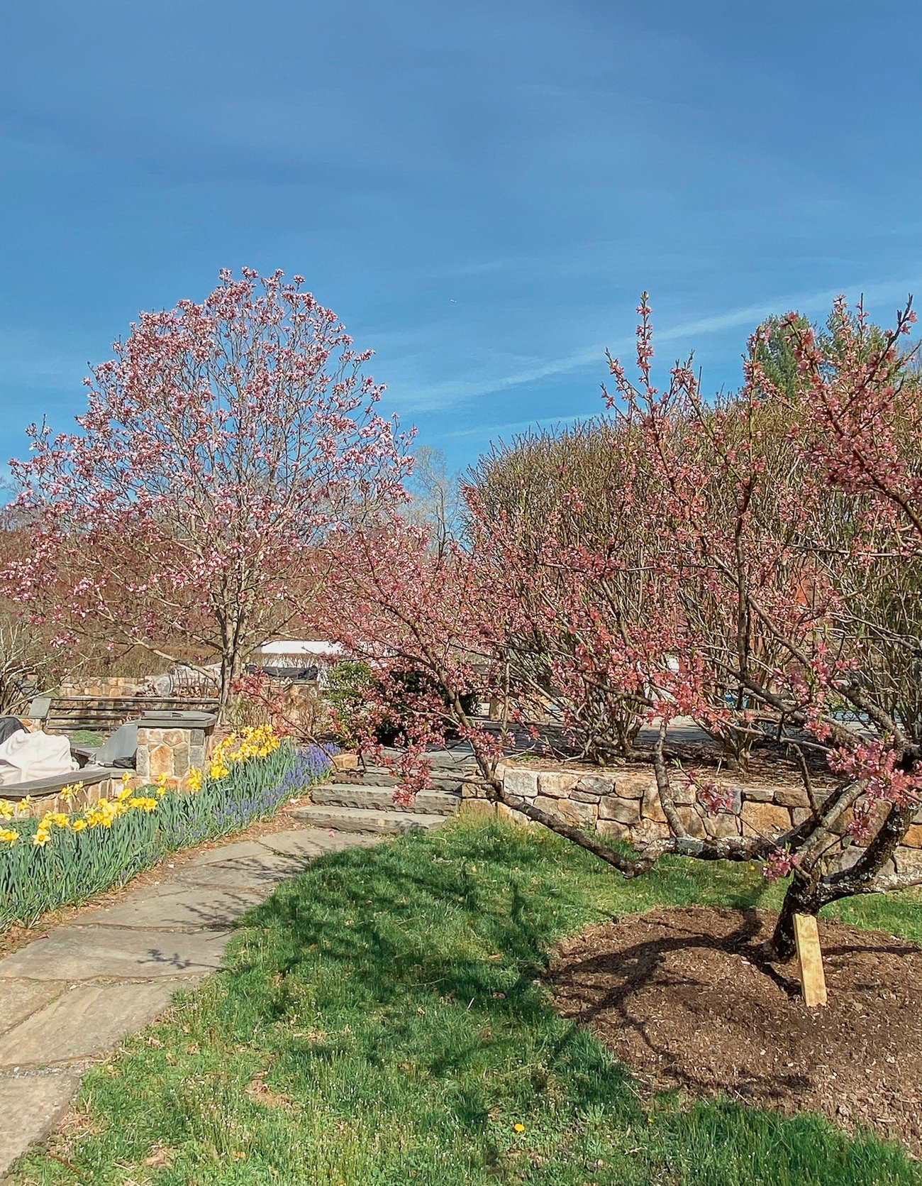 spring in the woks of life garden