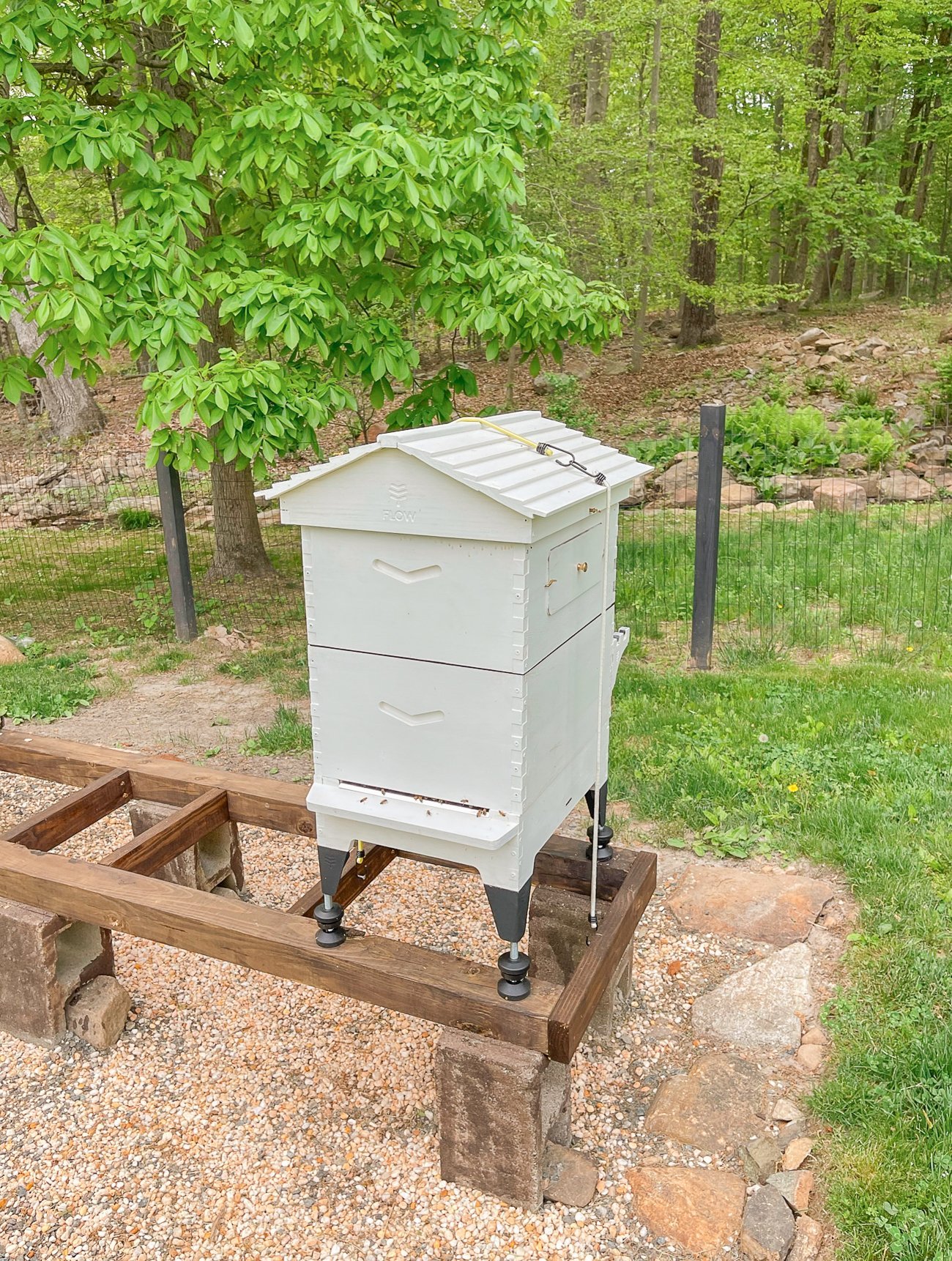 Flow Hive