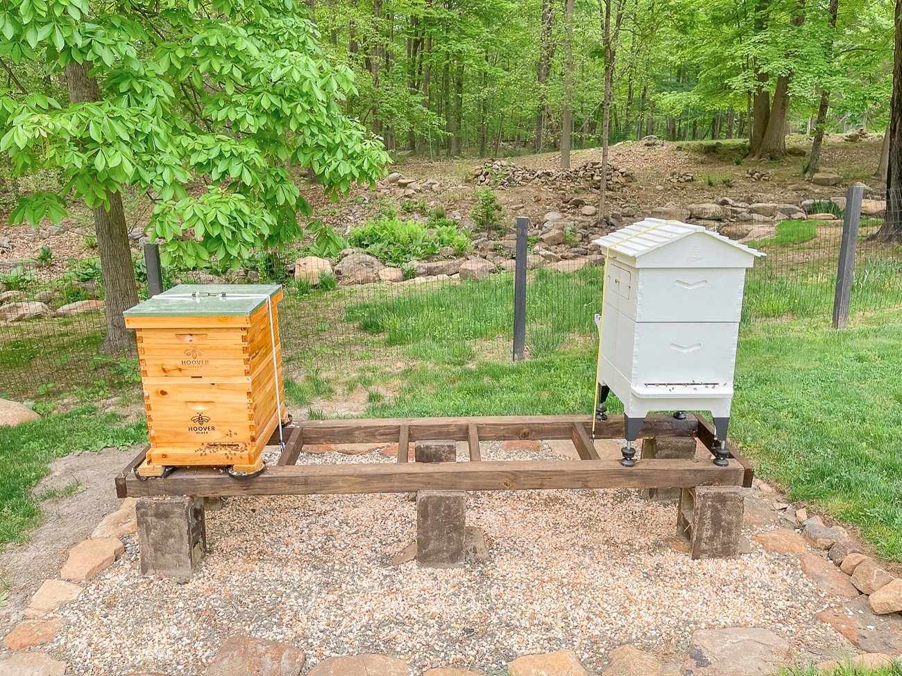bee hives