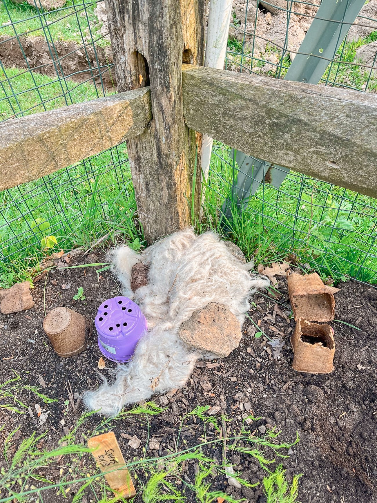 covering plants with pygora goat fleece 