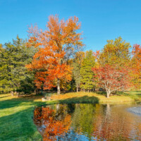 Fall at The Woks of Life HQ
