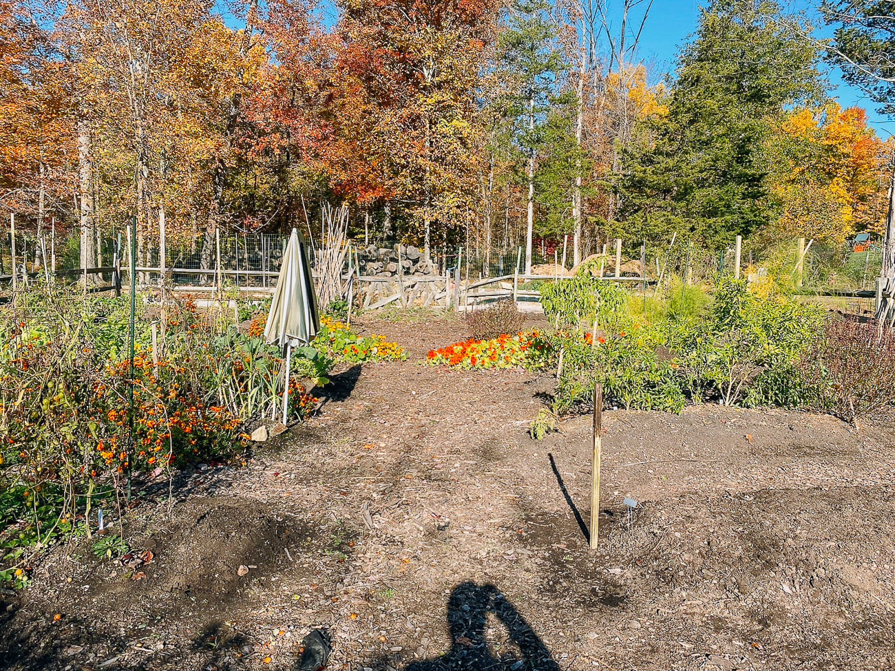 woks of life garden
