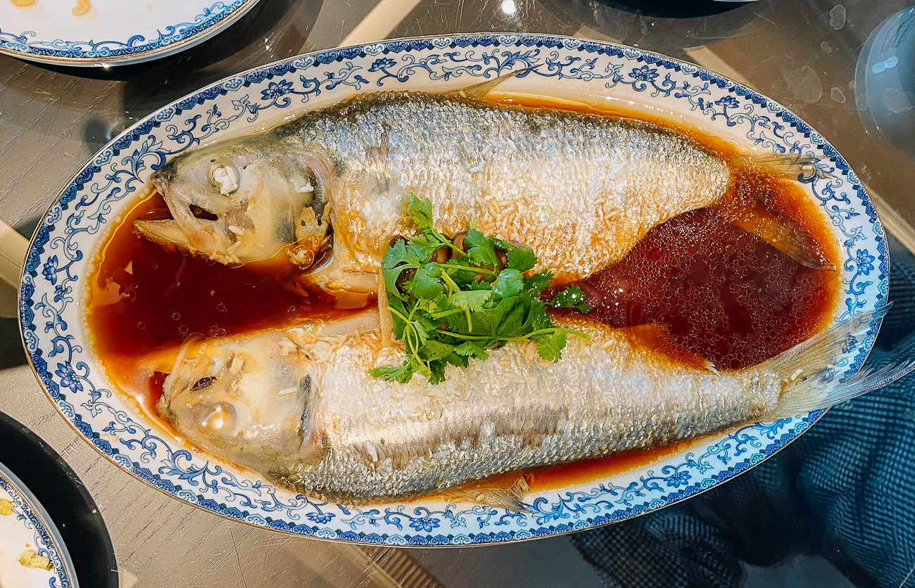 steamed shad