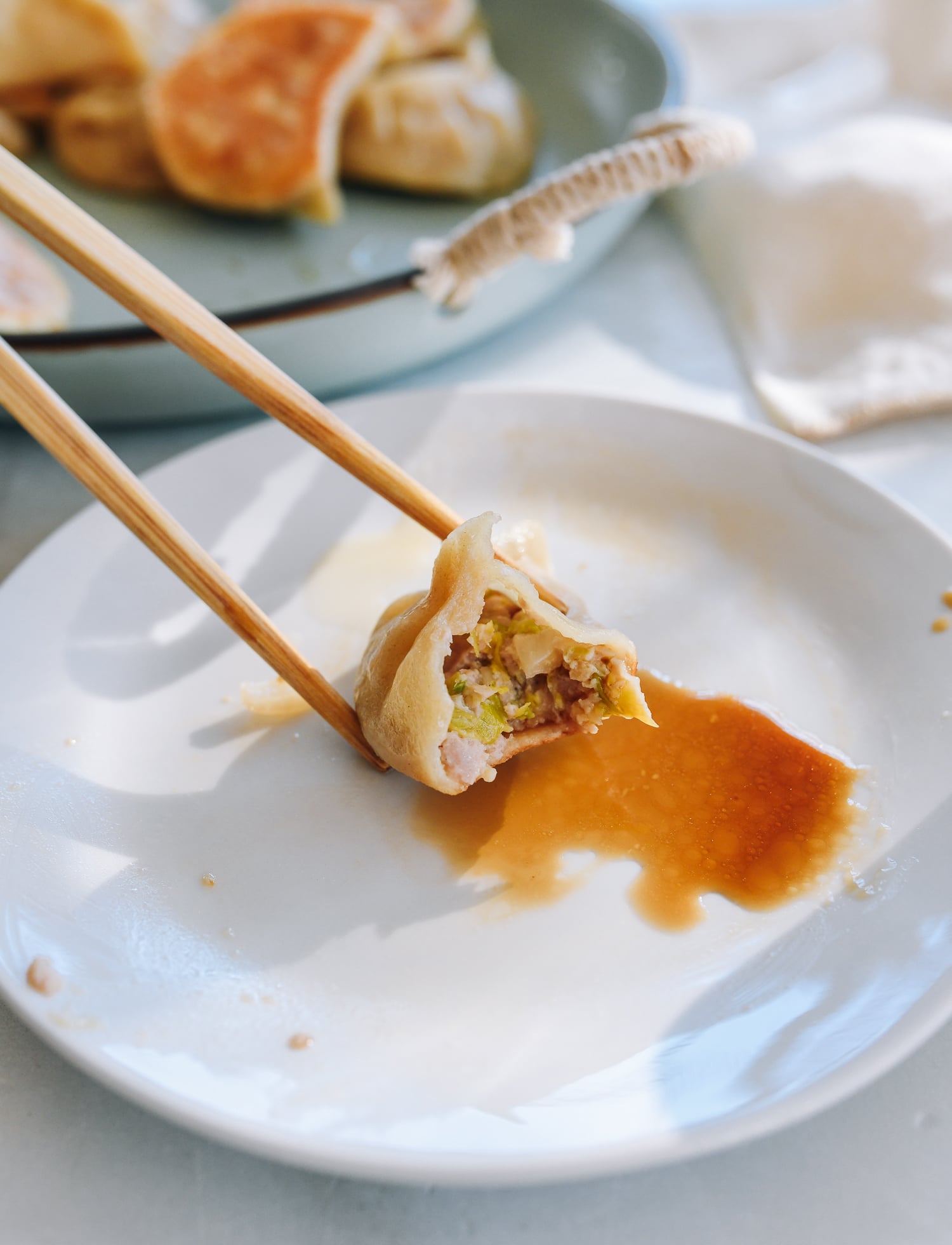 Chinese Chicken Dumpling Cross-section