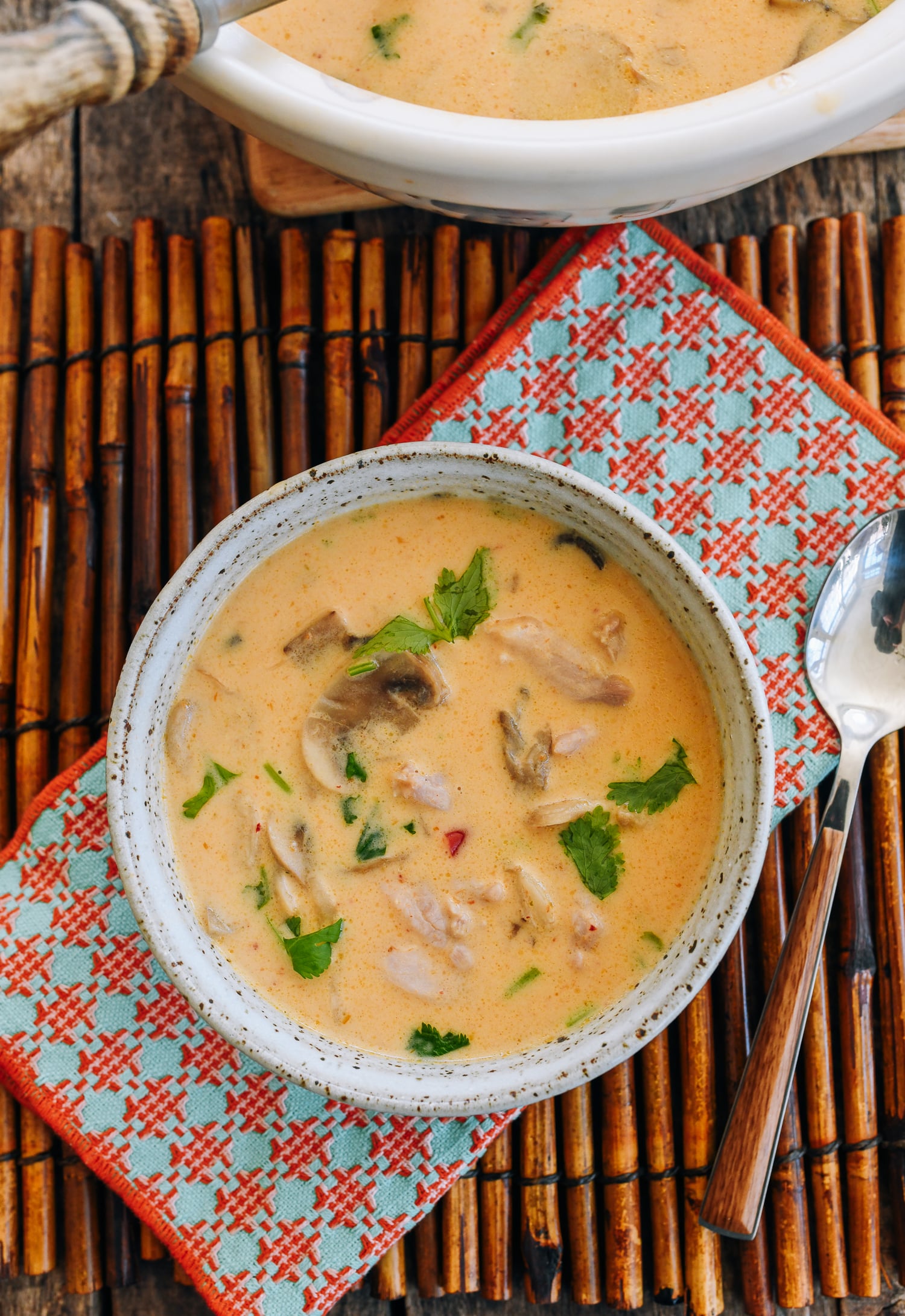 Thai Coconut Chicken Soup 