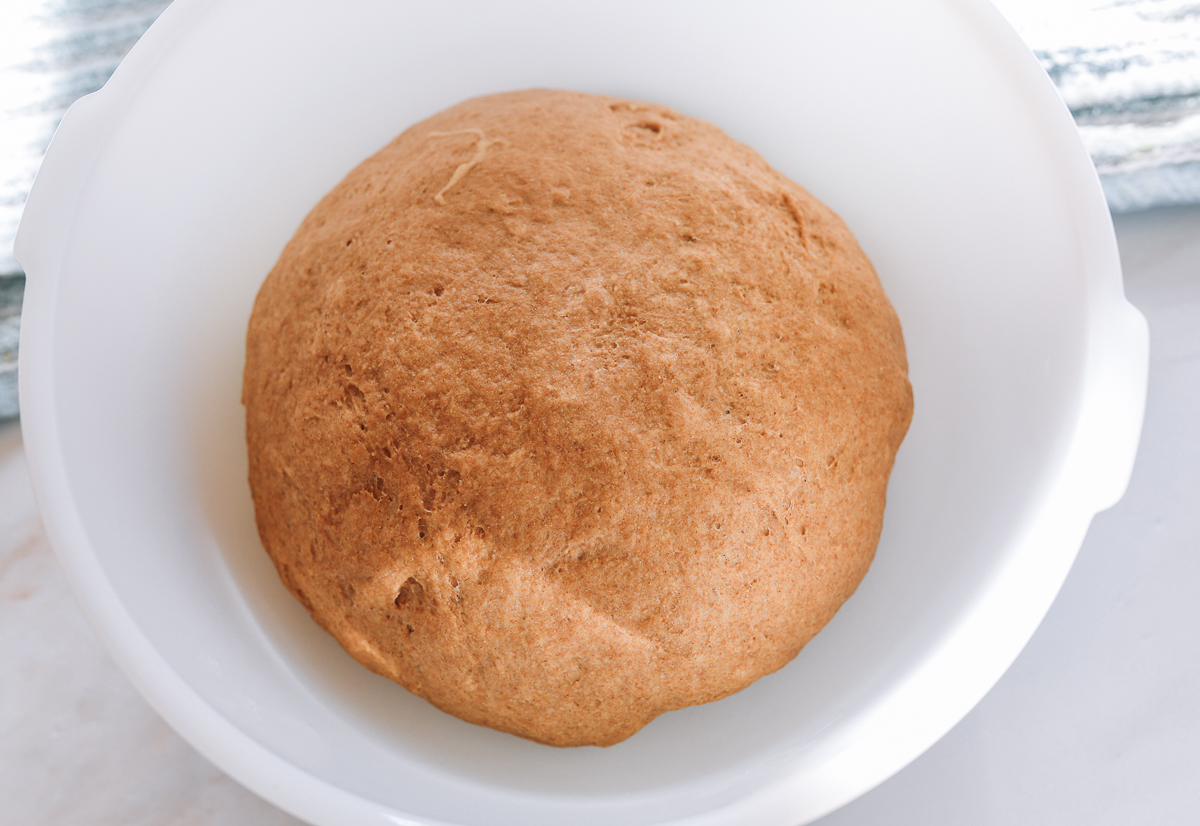 proofed whole wheat dough